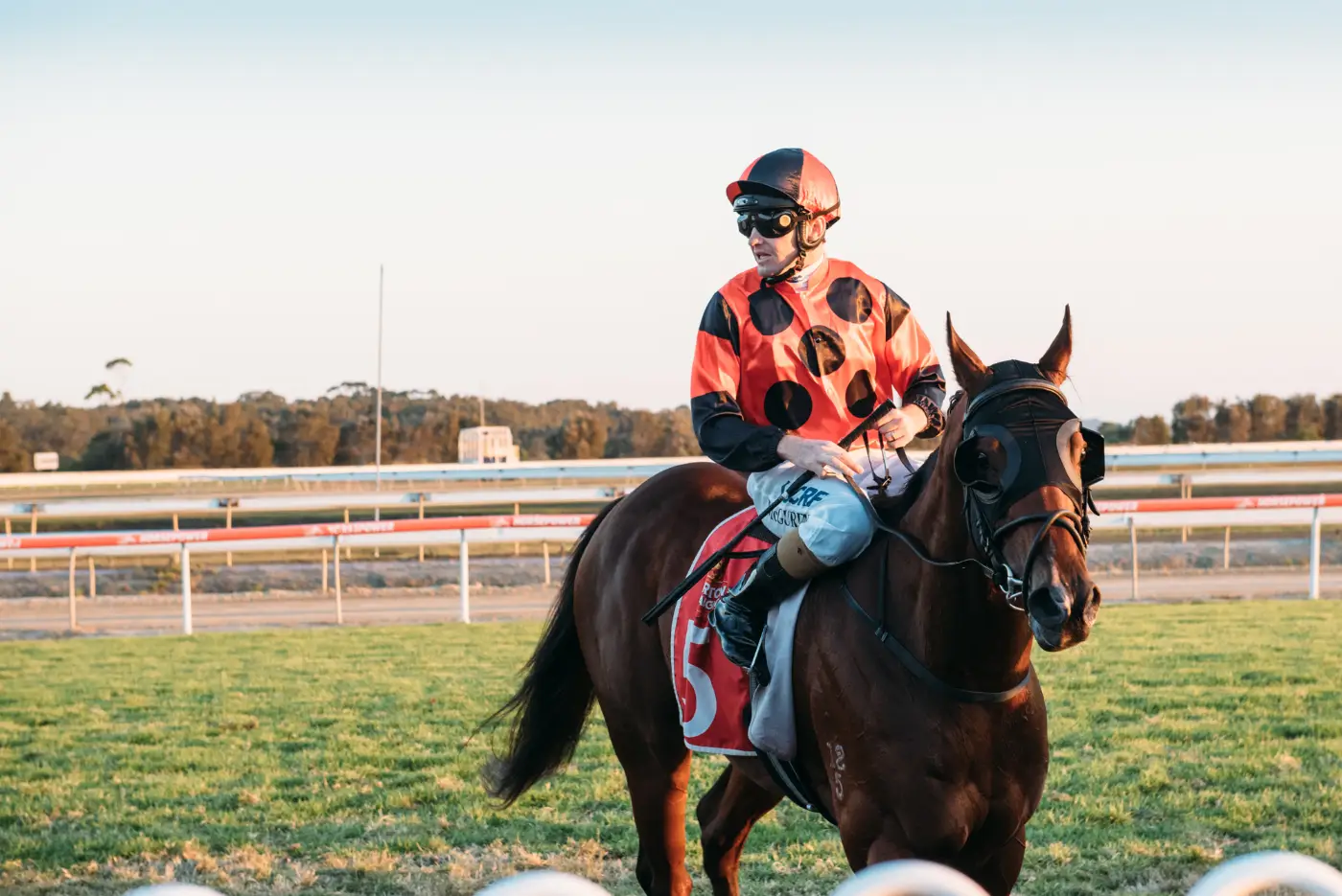 single-race-sponsor-2