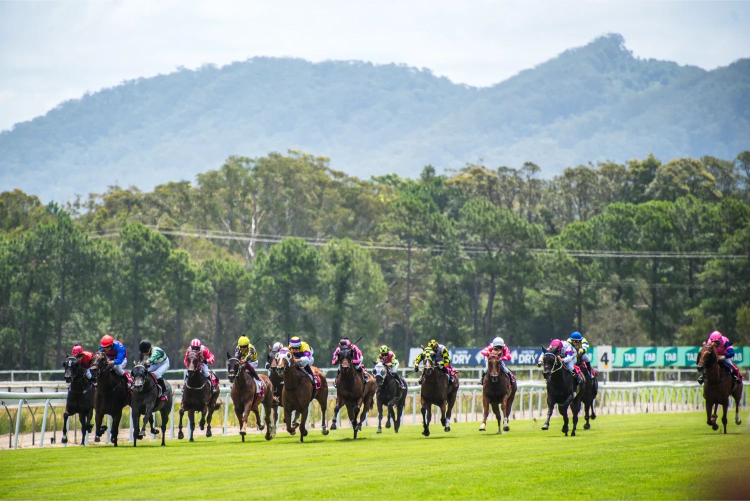 coffs140124pinksilksWEBrwp-2358